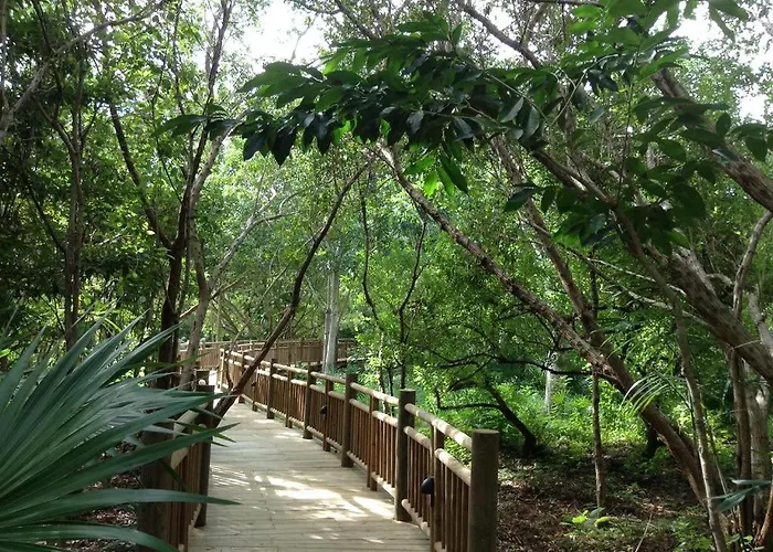 Mayan Palace Vidanta Riviera Maya Hotel Puerto Morelos